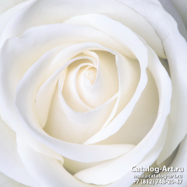картинки для фотопечати на потолках, идеи, фото, образцы - Потолки с фотопечатью - Белые розы 19